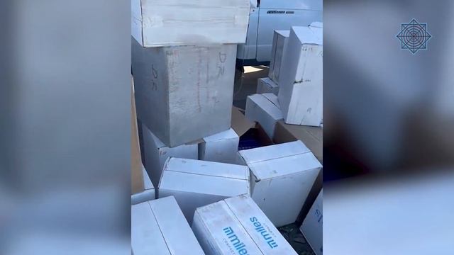 Контрабандные сигареты на 20 млн тенге пытались продать в магазинах Кокшетау — АФМ смотреть онлайн