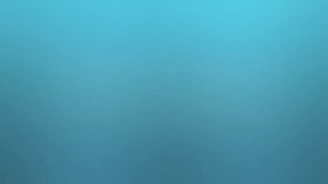 SAME SOME SAMBA - FELISIR - Samba - GEMA-Werk.-Nr: 15349383-001 смотреть онлайн