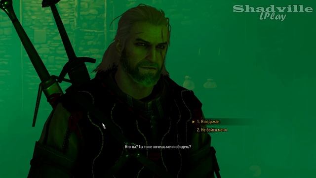 Мышиная башня — The Witcher 3: Wild Hunt Прохождение игры #25 смотреть онлайн