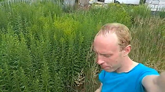 Долгожданнейшая экспедиция на дачу (июль 2021) смотреть онлайн