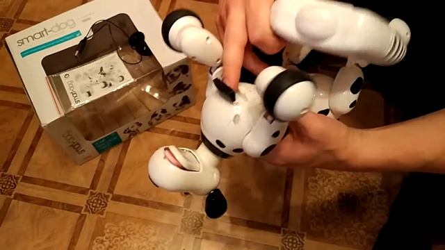 Smart dog - заменитель собаки смотреть онлайн