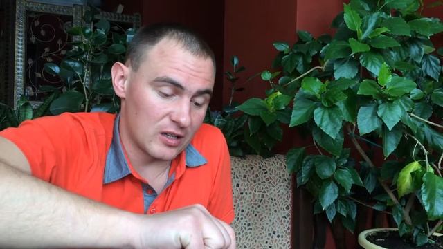 Как ПРАВИЛЬНО выбрать мед? Какие бывают виды меда и в чем их отличие смотреть онлайн