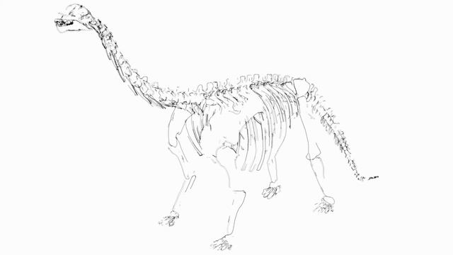 DINOSAUR Brachiosaurus Sketch Drawing | C4D sketch&toon motion смотреть онлайн