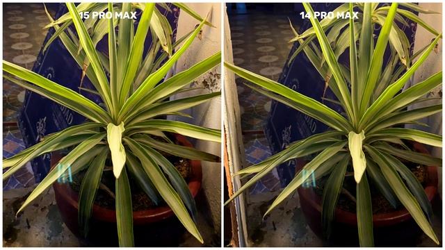 iPhone 15 Pro Max VS iPhone 14 Pro Max | Camera Test & Comparison смотреть онлайн