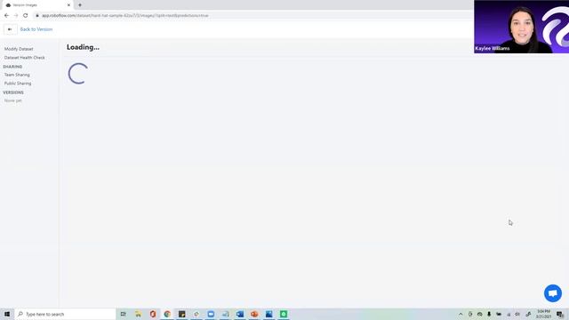 Review Inference Examples in Roboflow смотреть онлайн
