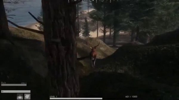 The WILDS - Early Access Gameplay