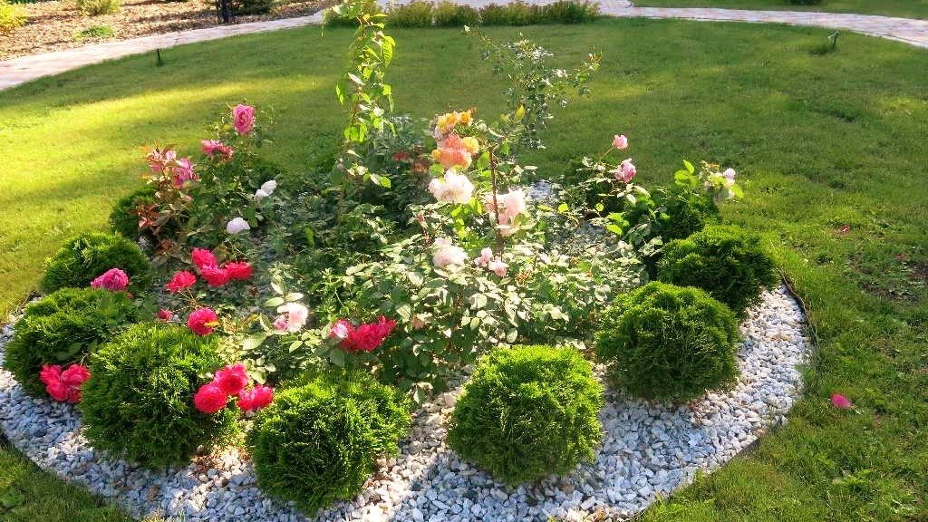 ?Сад - территория творческая Идеи для воплощения / Garden ideas for implementation / A - Video смотреть онлайн