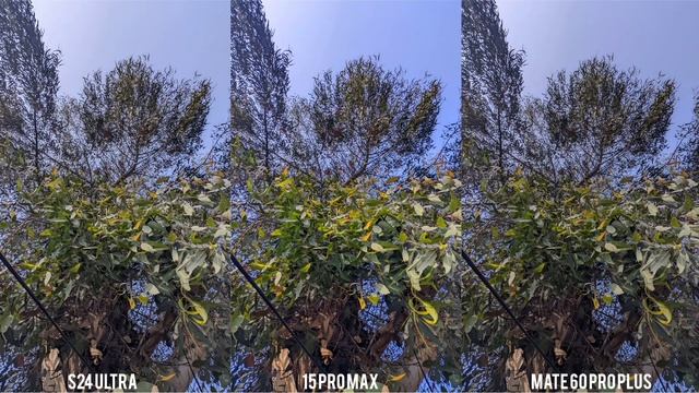 Samsung Galaxy S24 Ultra Vs iPhone 15 Pro Max Vs Huawei Mate 60 Pro Plus Camera Test смотреть онлайн