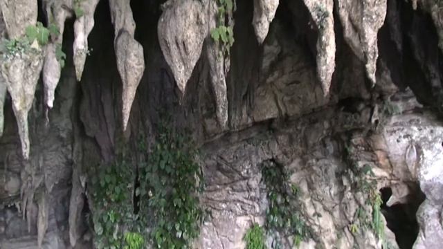 Malaysia / Borneo-Sarawak - 3 Caves-Trip