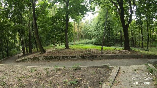 GoPro Hero 7. Примеры использования фиксированных настроек баланса белого смотреть онлайн