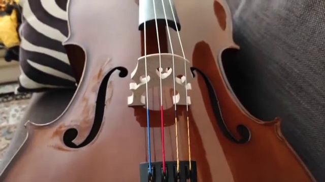 Stentor Student I SR 1102 Cello 4/4