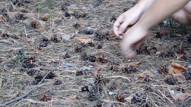 БЮДЖЕТНАЯ АЛЬТЕРНАТИВА КОРЕ☝️? / ОТЧЁТ О ПОСАДКЕ ГАЗОНА? смотреть онлайн