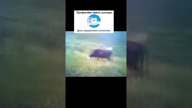 День статистики ??? смотреть онлайн