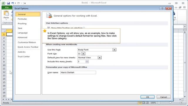 The Basic Excel Settings.