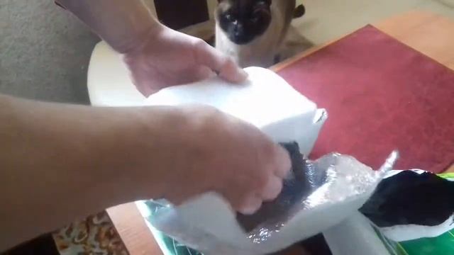 Посылка с аквариумными растениями смотреть онлайн