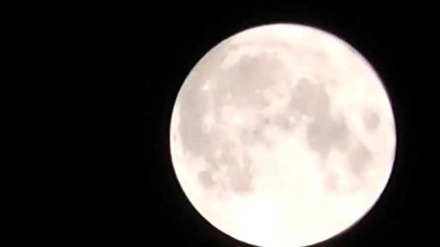 Wolf moon 24.01.2016 смотреть онлайн