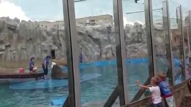 Ижевский зоопарк 8 смотреть онлайн