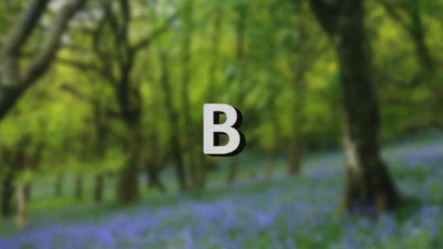 МС ПОХ - ВЕСЕНИЙ ЛЕС (Extended Edition :) ) - для юмора) (remix) смотреть онлайн