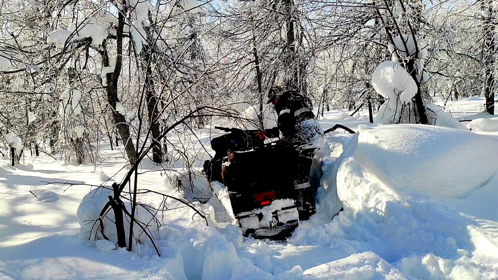 Снежный плен, зимний лес не отпускает. Один в тайге! смотреть онлайн