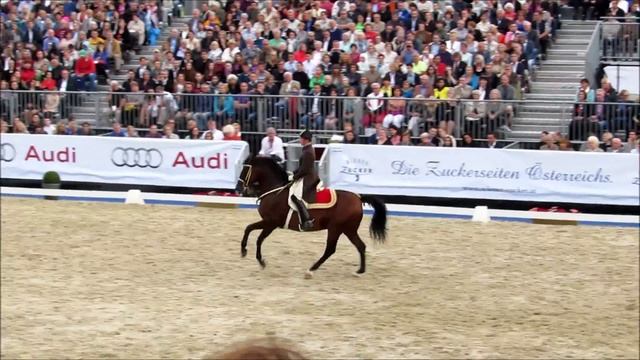 450  Jahre Gala Spanische Hofreitschule 2015 Am Heldenplatz