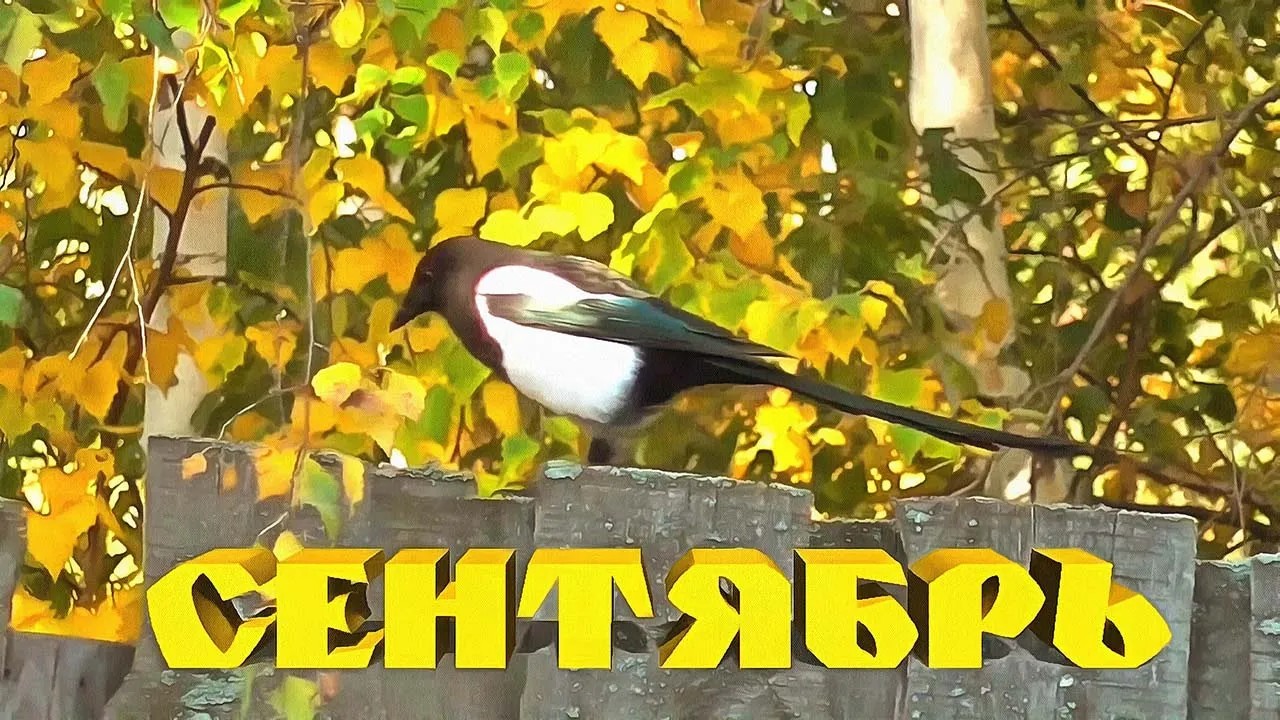 Сентябрь 2023