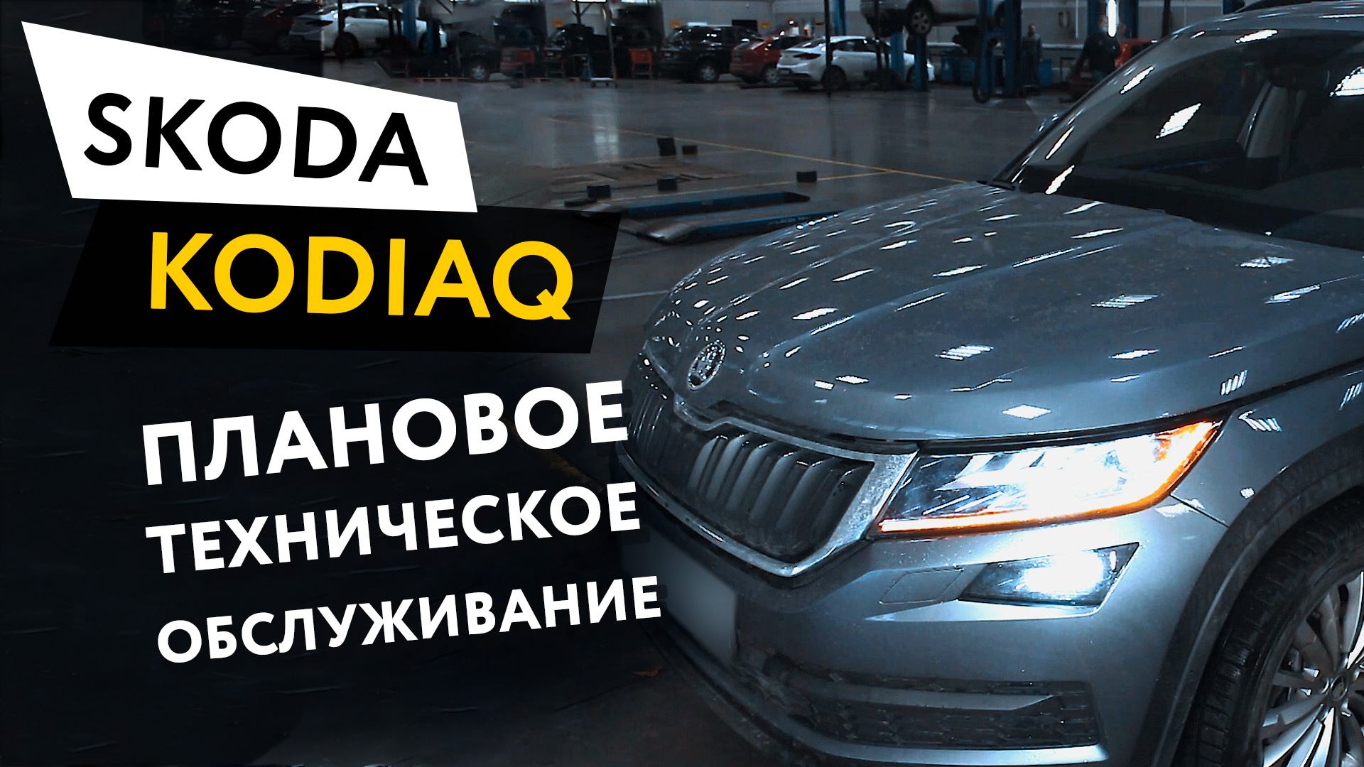 Плановое техническое обслуживание автомобиля Skoda Kodiaq 1,4 TSI смотреть онлайн
