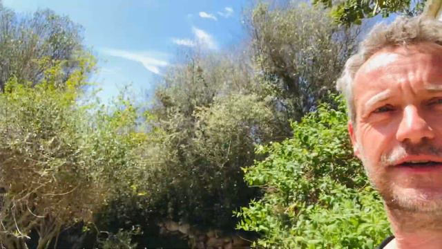 Mallorca Guitar Camps | Finca-Rundgang смотреть онлайн