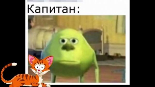 Лютые приколы. КОТ ЛЮБИТ КЛУБНИКУ!!! Тест на психику! Засмеялся проиграл! – Domi Show!