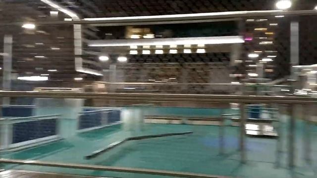 Питер ЖК Я - Романтик