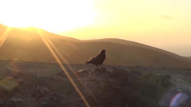 Fuerteventura, Kanaren, Фуэртевентура, Канарские острова, Остров в Атлантическом океане. смотреть онлайн