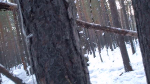 1.АВТОРСКОЕ. Первая вылазка на природу 19 02 2019. смотреть онлайн