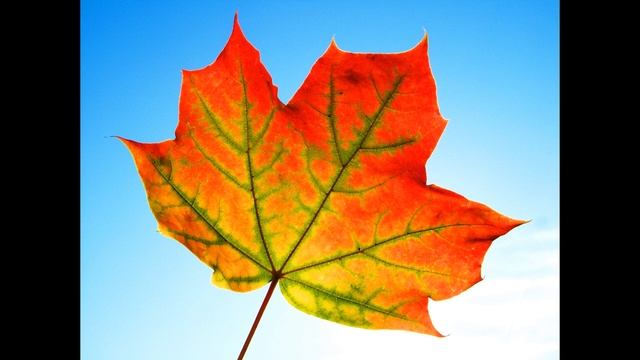 Осенний Листок автор исполнитель Эдуард Данилов смотреть онлайн