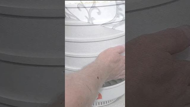 Сушка чеснока.