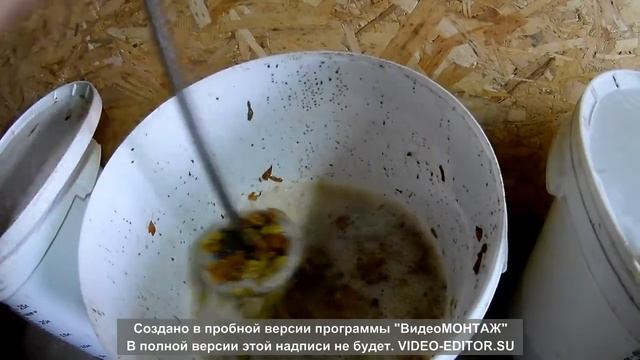 Мацерация технических сортов винограда смотреть онлайн