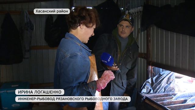 В реки Приморья выпустят миллионы мальков кеты смотреть онлайн