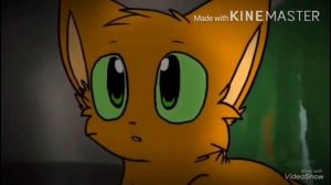 Клип:Коты Воители/Серебрянка и Крутобок ] Мало так Мало
