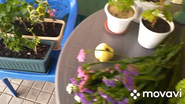 И снова мне задарили.Улов.Солим жарим коптим рыбу.Жарим шашлык. смотреть онлайн