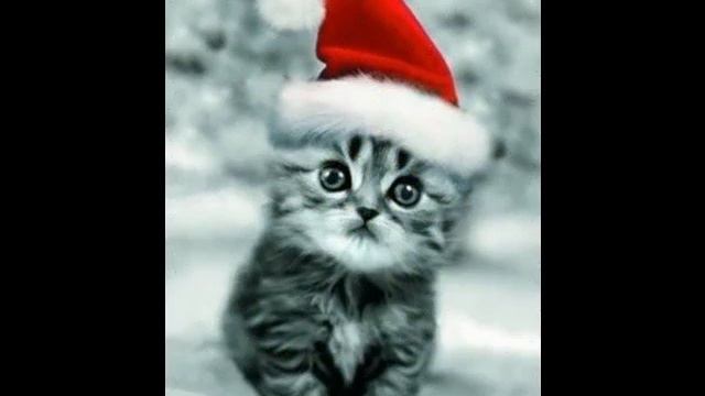 Ночь Перед Рождеством Загадывать Желания - Night Before Christmas to Make Wishes смотреть онлайн