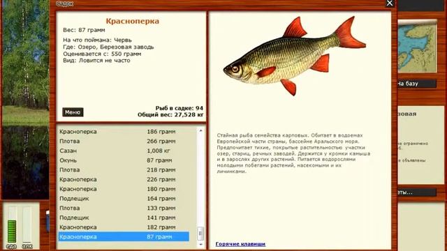 РУССКАЯ РЫБАЛКА 3 # озеро берёзовая заводь # 5 смотреть онлайн