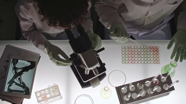 Как летучие мыши живут с таким количеством вирусов ? смотреть онлайн