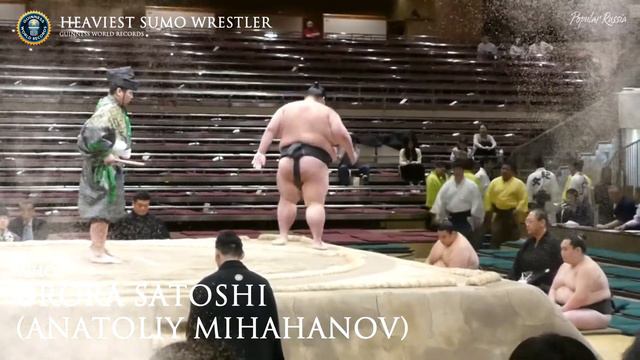 Heaviest Sumo Wrestler In The World | Orora Satoshi | First Russian Professional Sumo
