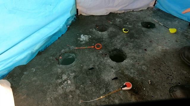 БОЛЕЕ 100 ЛЕТ на эту СНАСТЬ ловят рыбу как из ПУЛЕМЁТА.ЛУЧШАЯ НАСАДКА.Рыбалка в Калужской области смотреть онлайн