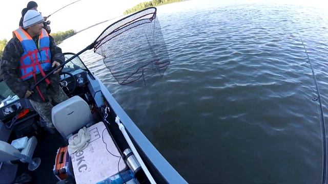 ТОП ПРИМАНКА на Судака которая сделала всю рыбалку .... смотреть онлайн