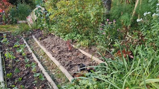 Аврал с можжевельником и новые достижения в Совином Доле смотреть онлайн