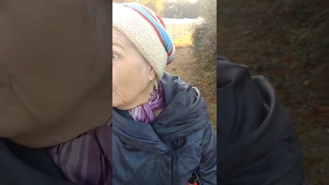 Хоть колом голову чеши! смотреть онлайн