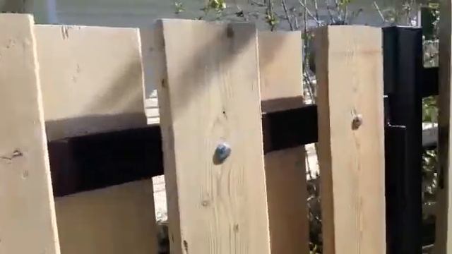 Забор Кемерово смотреть онлайн