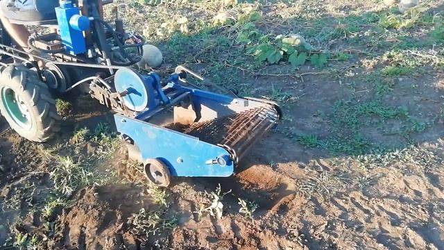 Сбор урожай транспортной картофелекопалкой смотреть онлайн