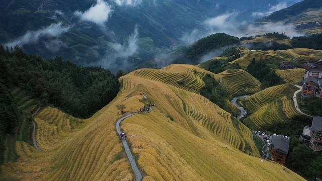 Why Vanke’s Collapse Would Dwarf Evergrande | Chinese Economy & Financial News | Hong Kong and more смотреть онлайн