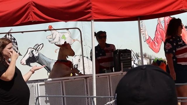 PIG RACING at the Fair - Oklahoma State Fair 2022 / Oklahoma City смотреть онлайн