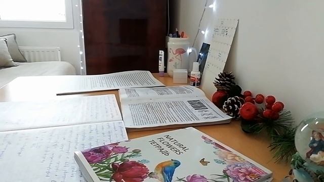 Выучила 5 билетов по физике за 30 минут.Учись эффективно со мной. Как сдать экзамены? Study With Me смотреть онлайн